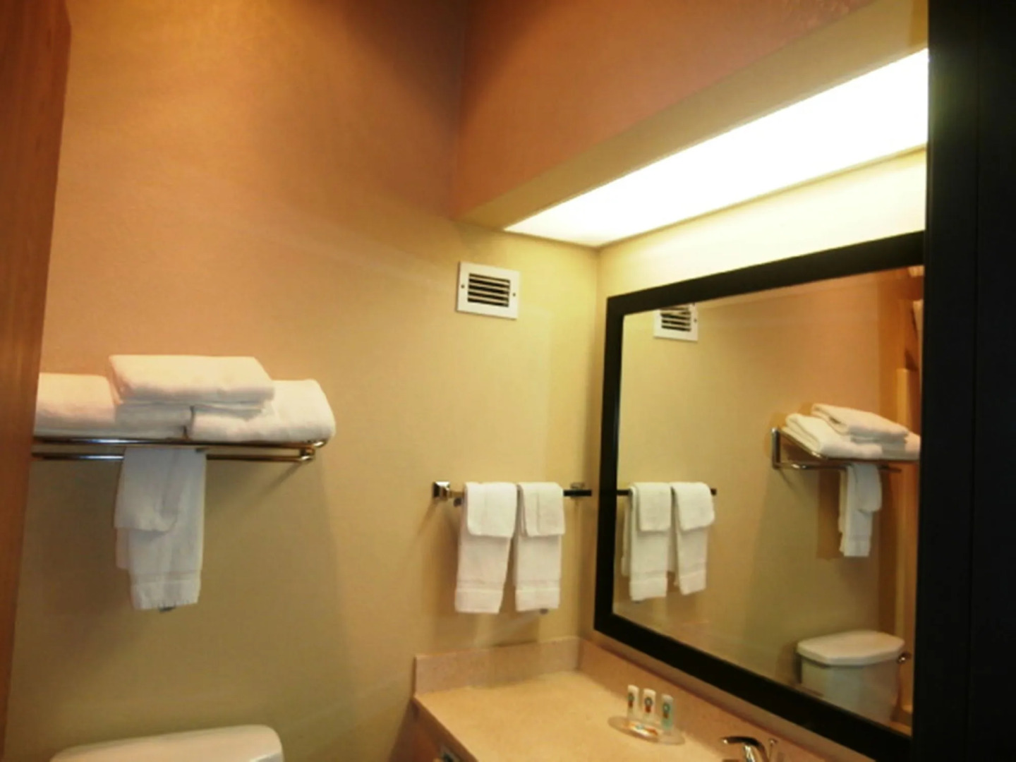 SureStay Plus Hotel by Best Western Blue Springs