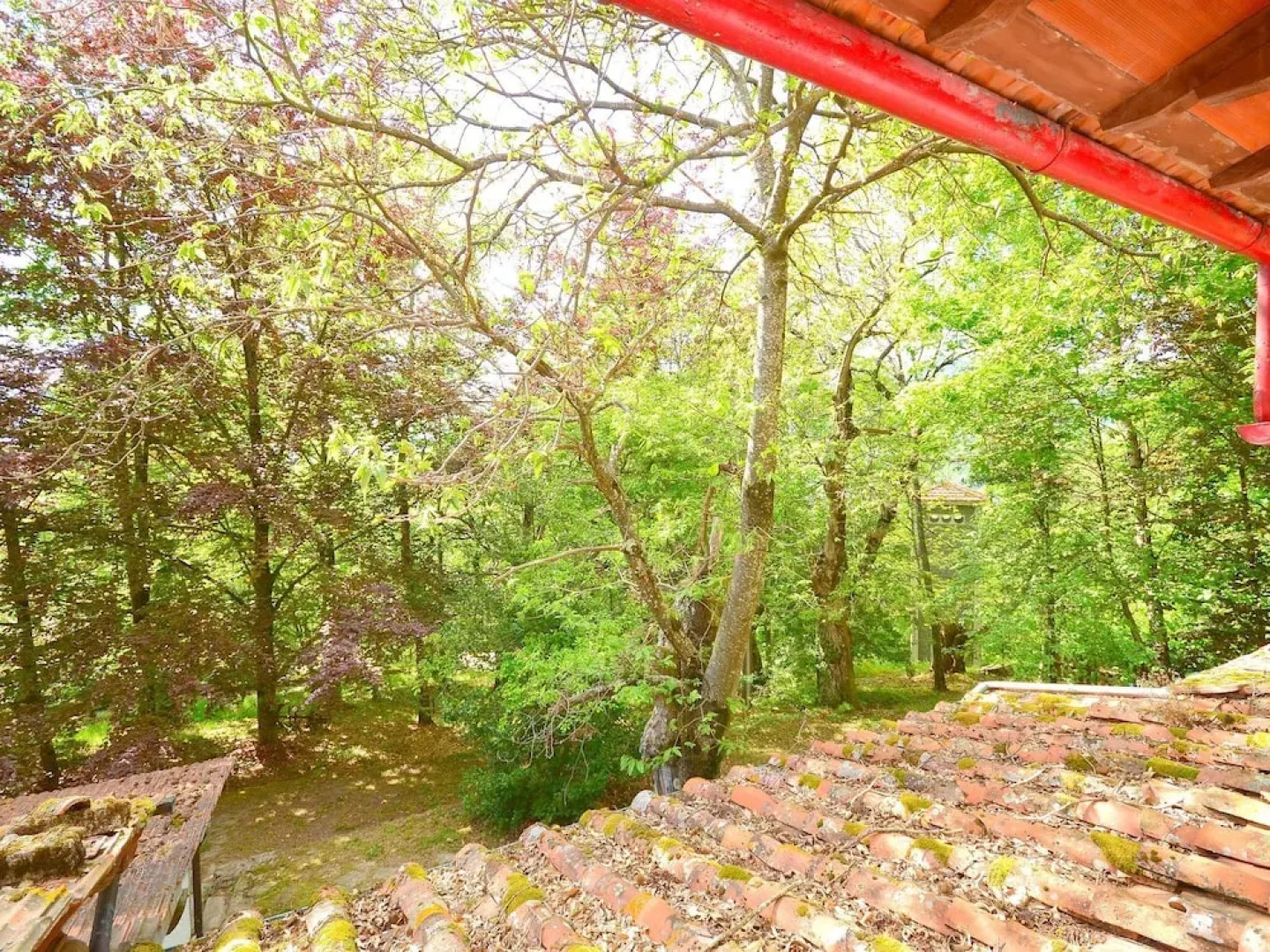 Vintage Holiday Home in Migliorini with Pool