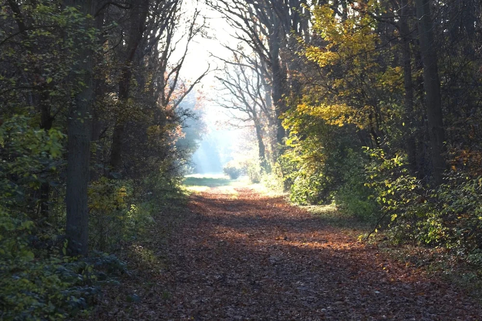 Hotel het Oude Raadhuis