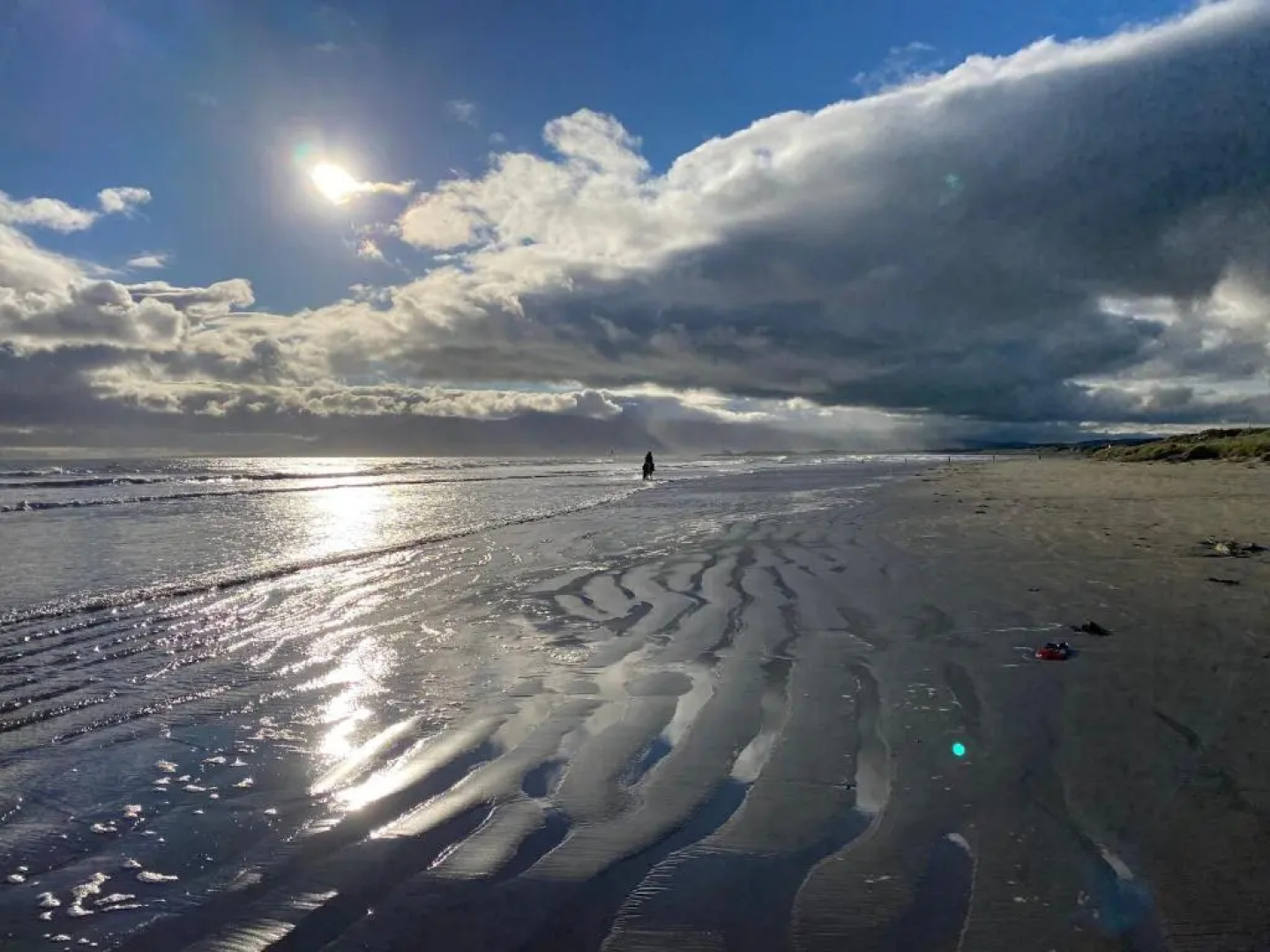 Forest View - Castlewellan