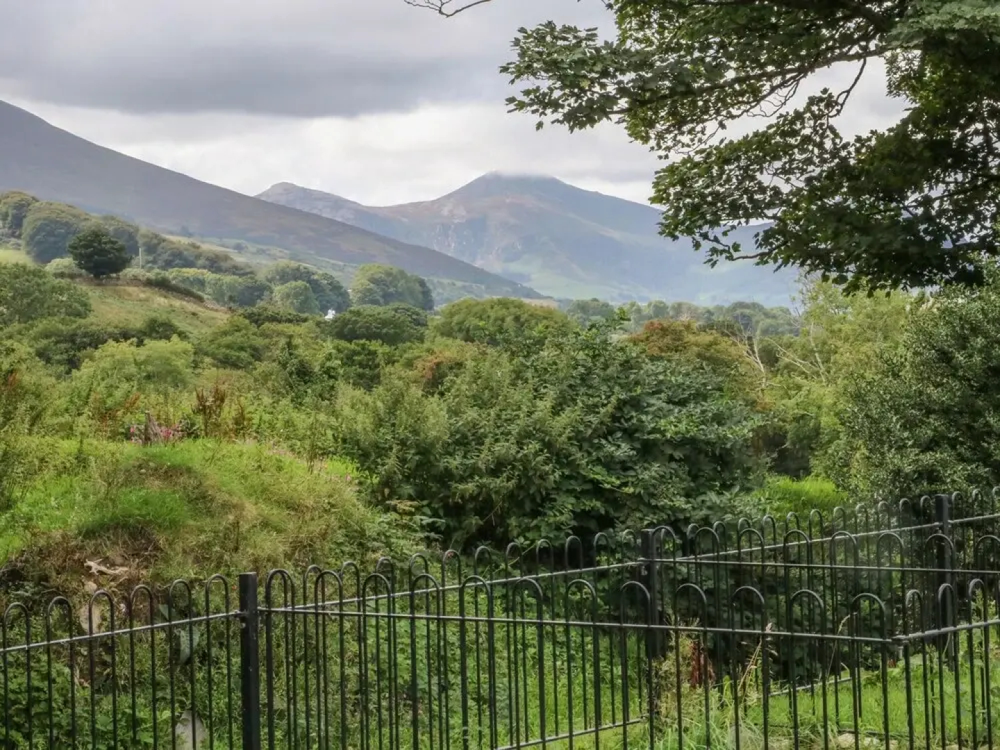 Y Deri Cottage