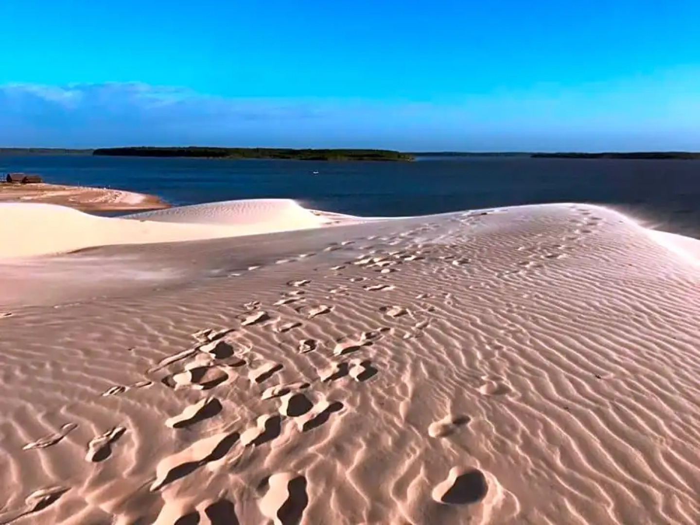 Quarto compartilhado - Tropicália's house