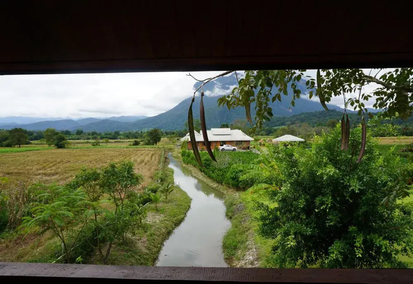 The Wes Village
