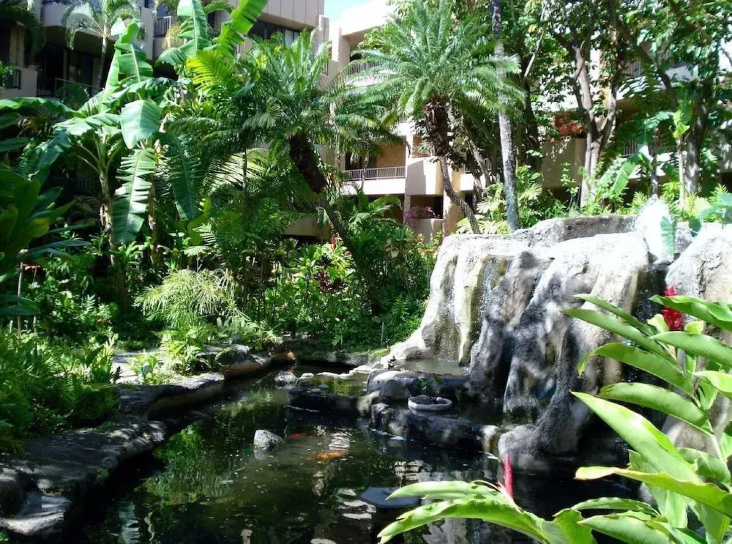 Paki Maui 207 by RedAwning