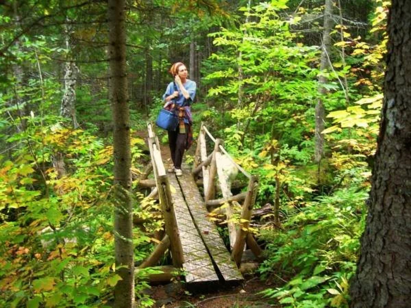 Auberge du Café chez Sam