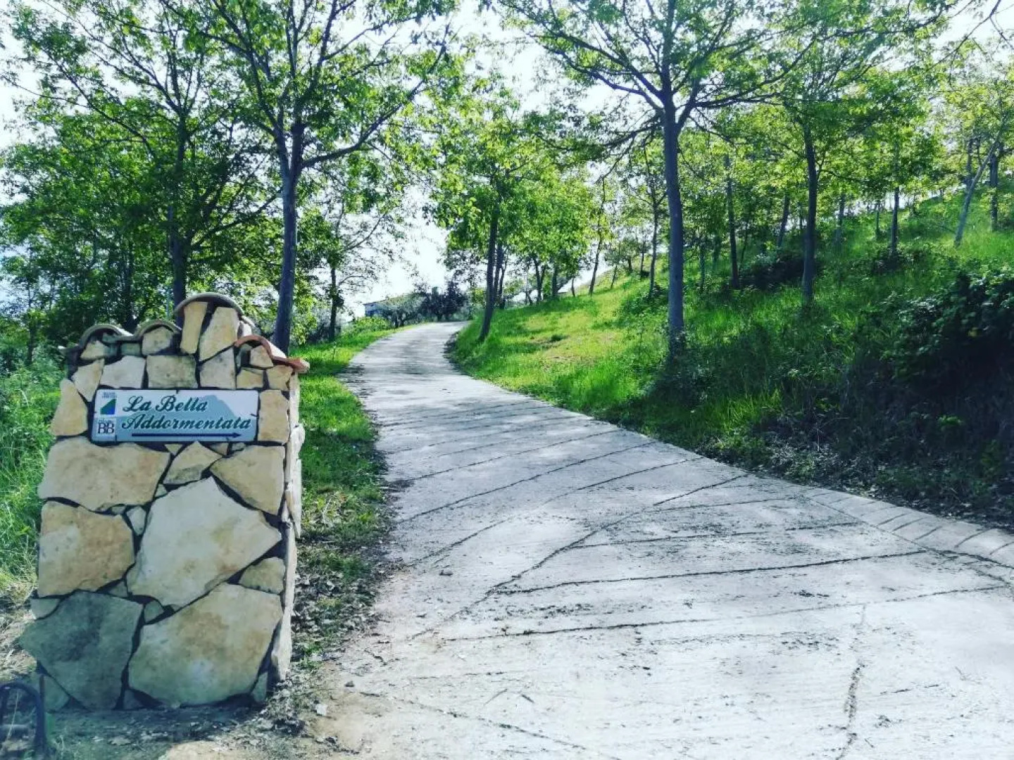 BB La Bella Addormentata