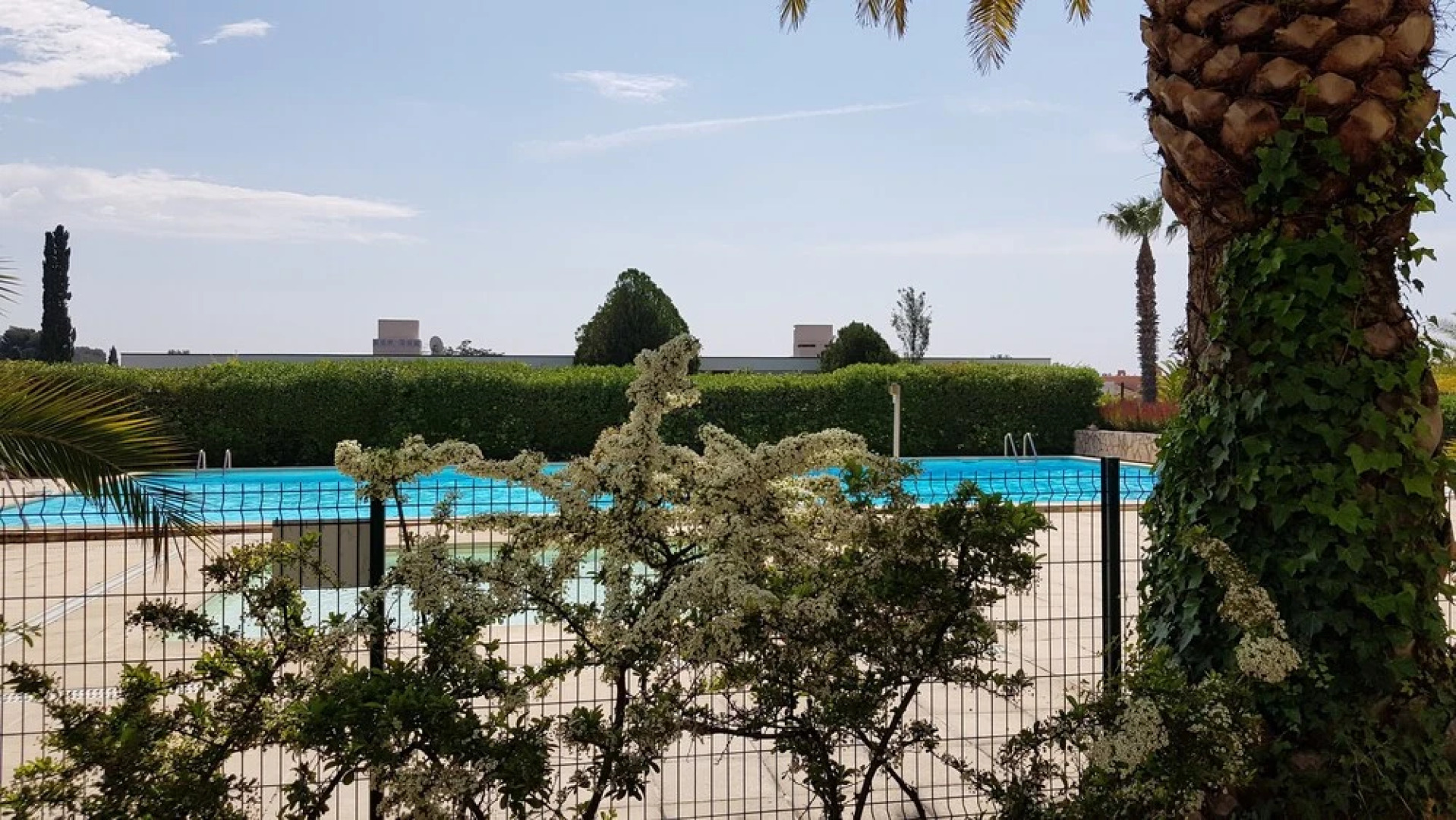 Boost Your Immo Argonautes Calanques