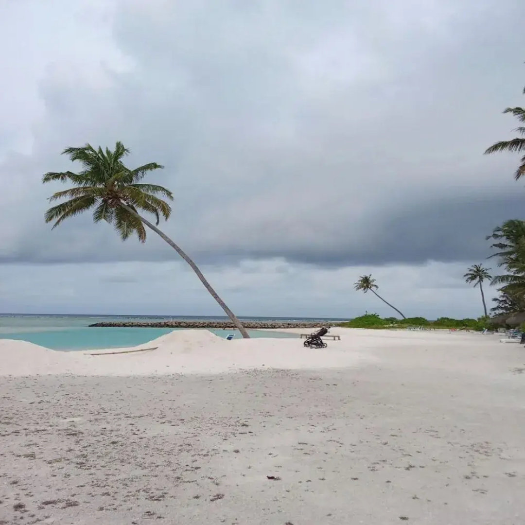 Sea Breeze View