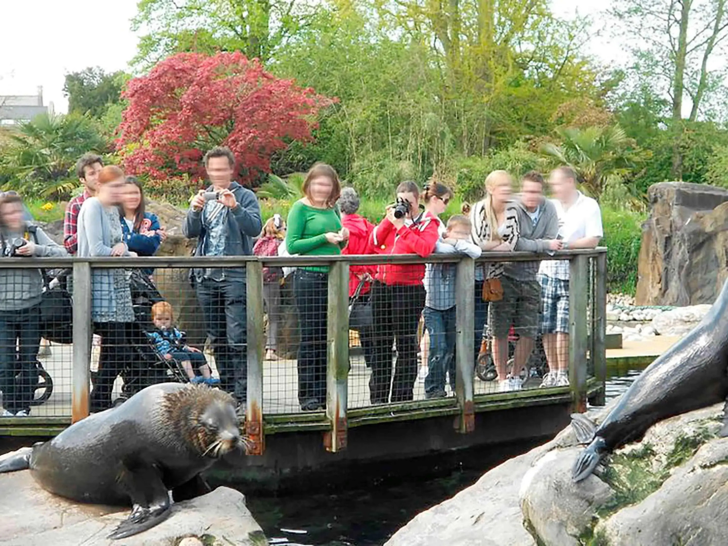 Mercure Bristol Holland House