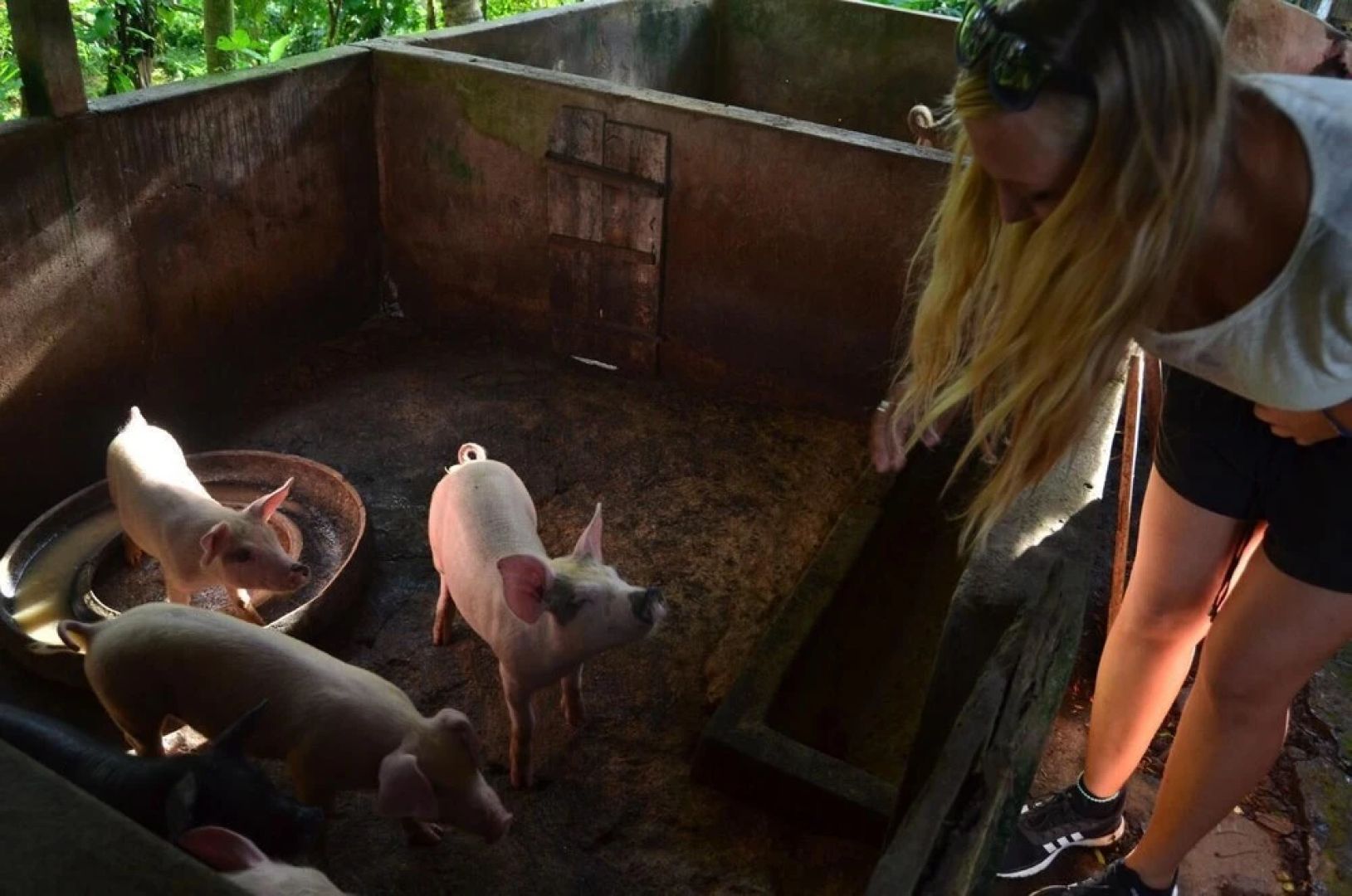 Beluran Serene Guesthouse