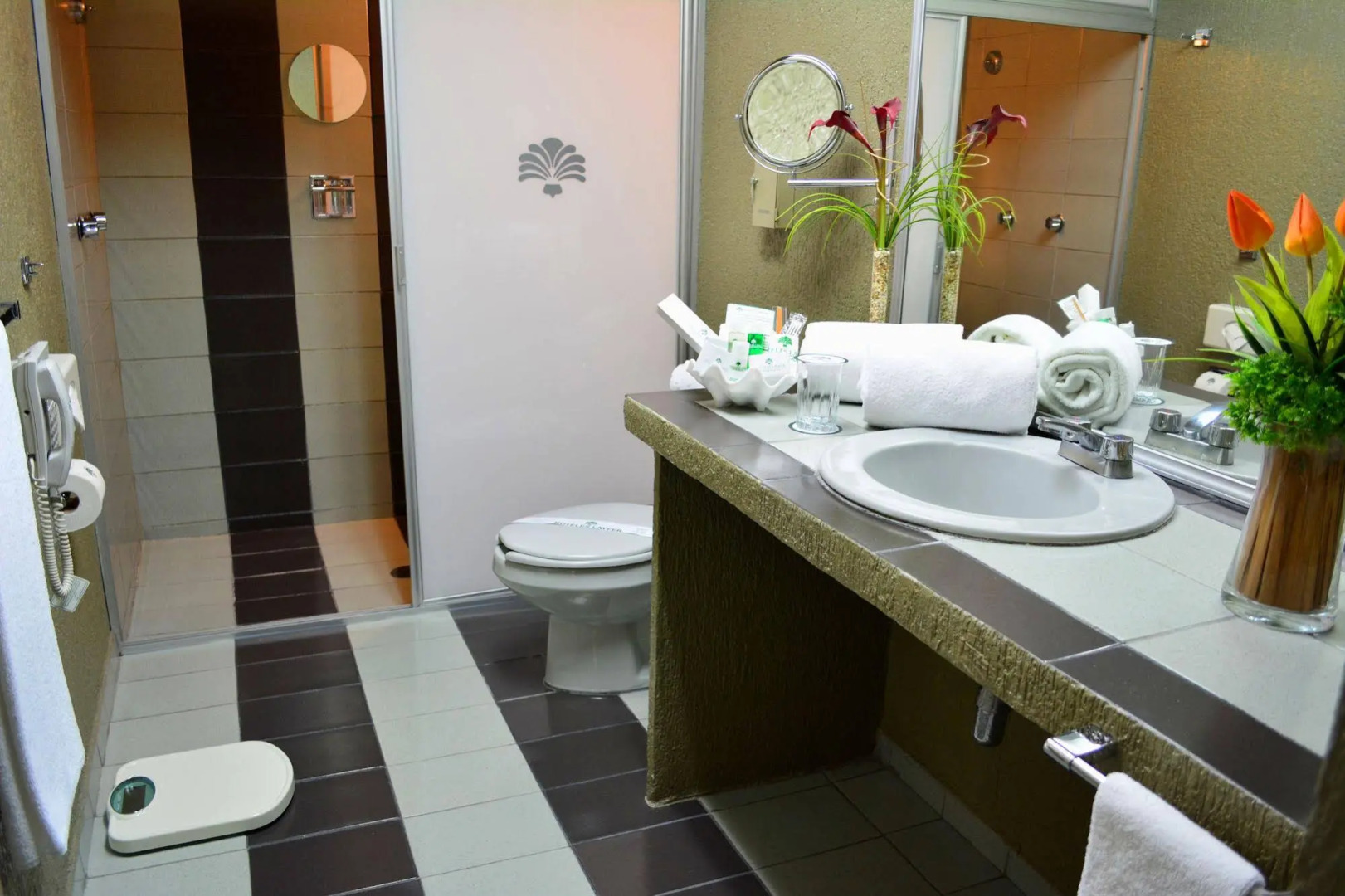 Hotel Layfer Negocios y Descanso Cordoba Veracruz Mexico