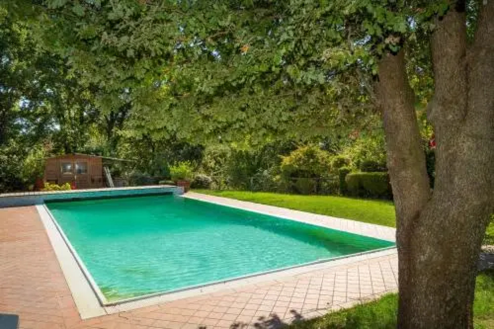 Ginestraio in Sant'Albino