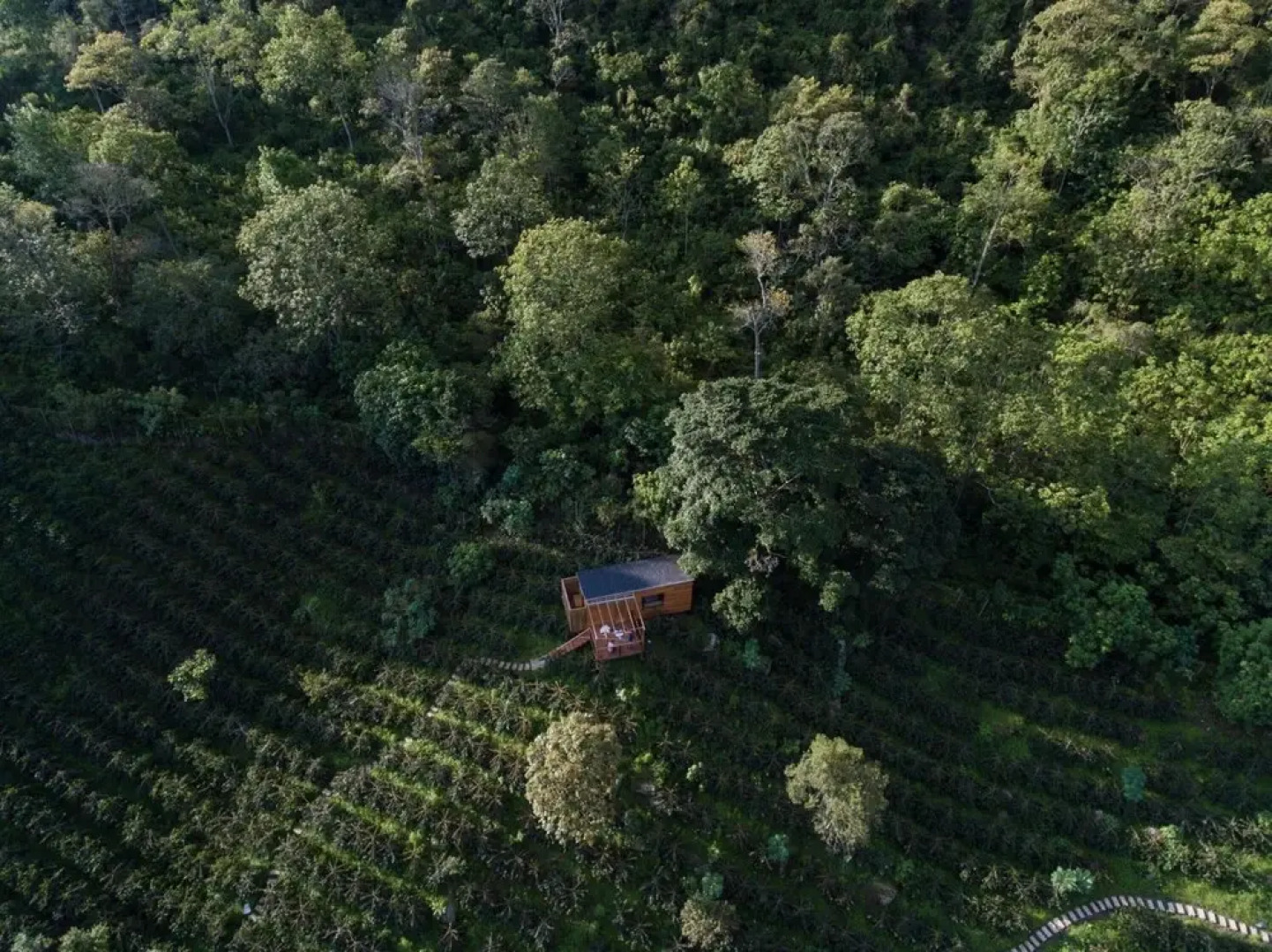 Coffee Adventures By La Palma y El Tucan