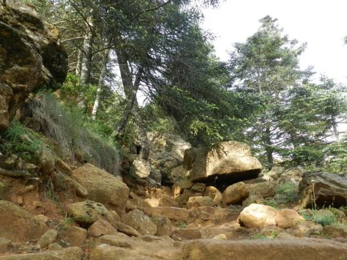 Casas Rurales Jardines Del Visir