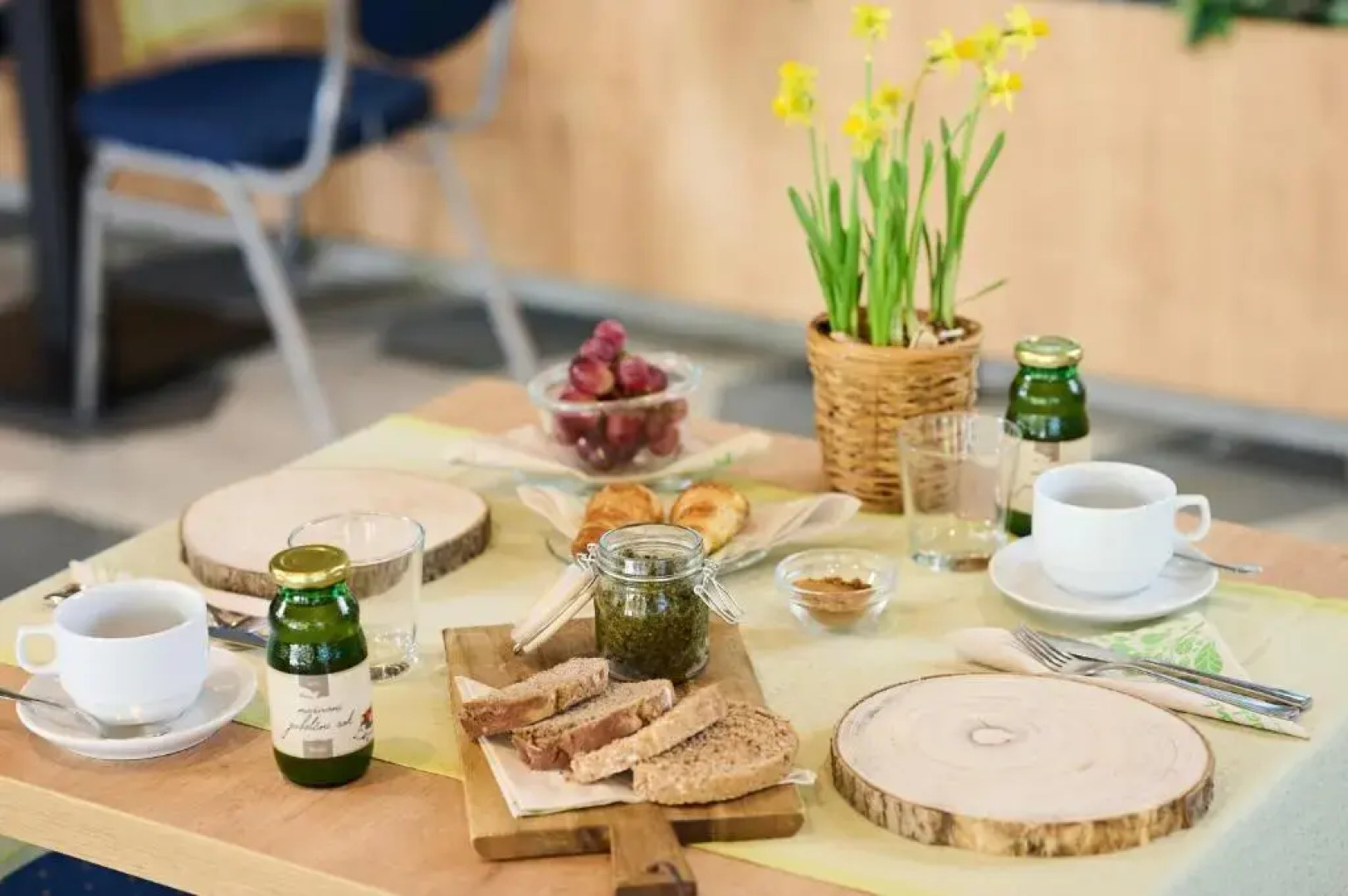 Eco Terme Snovik, Kamnik