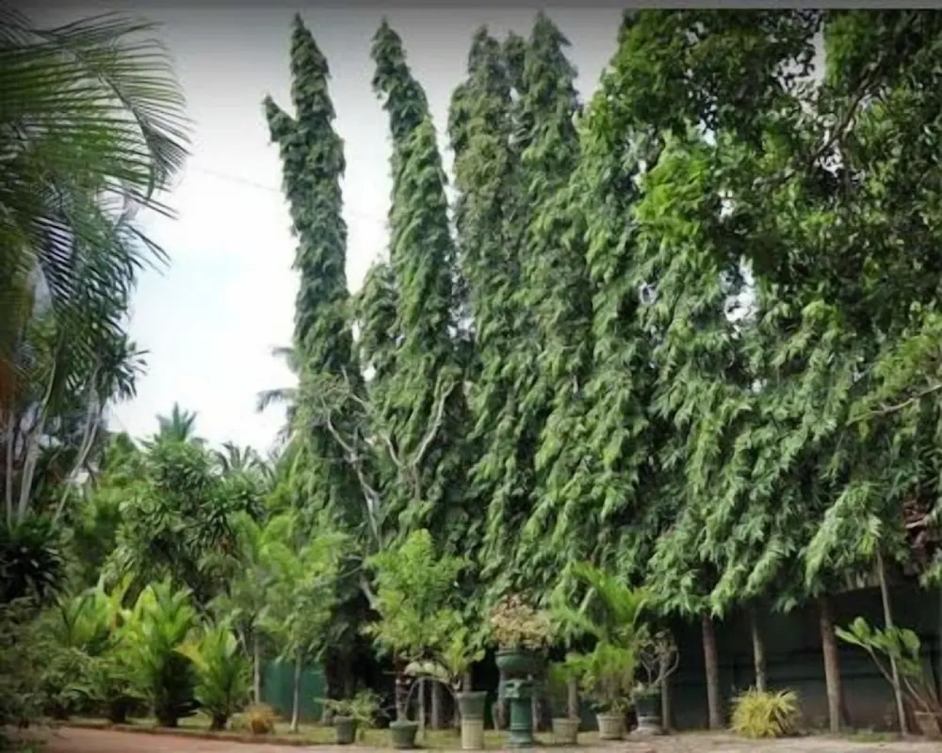 Villa Sunshine Hotel