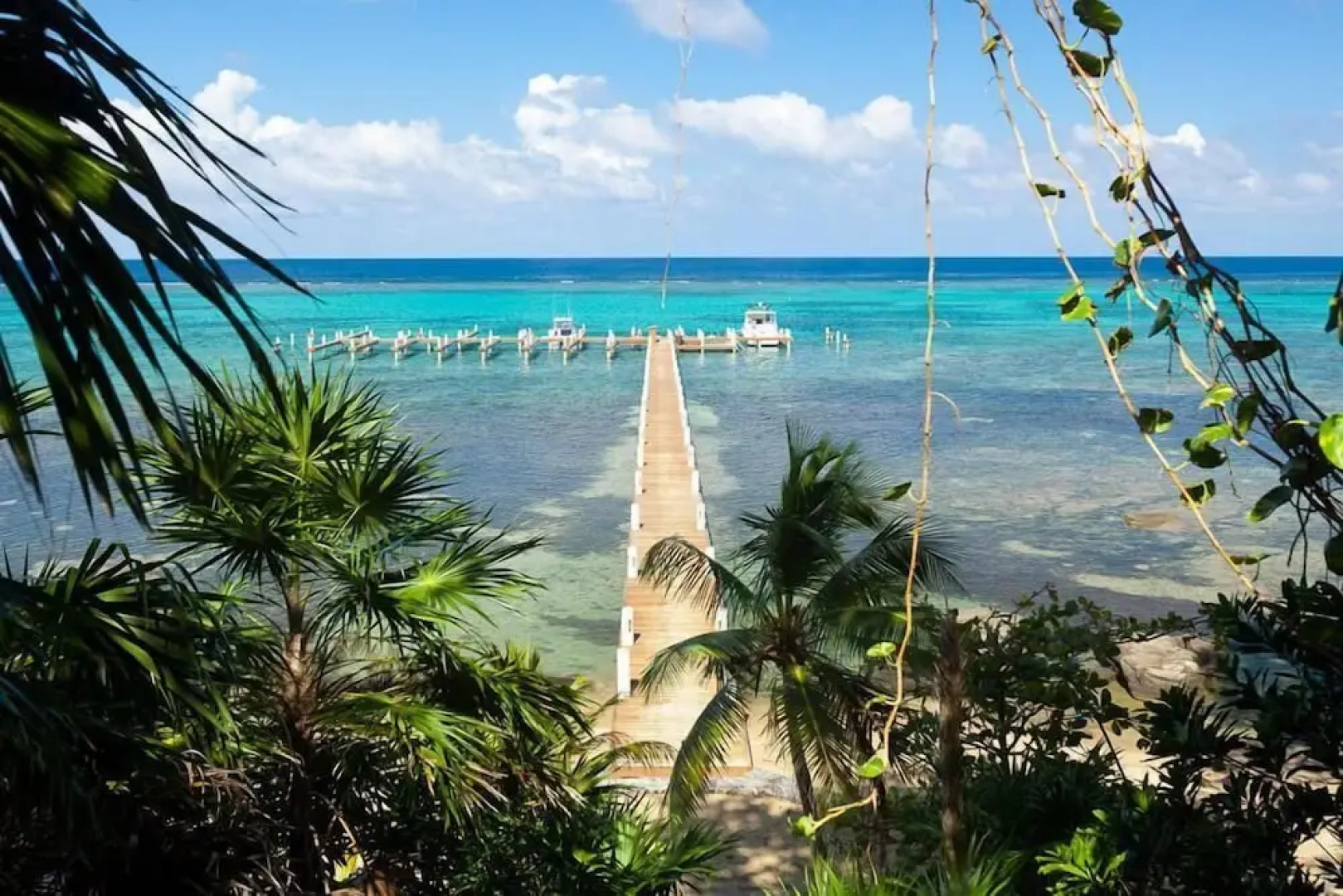 Lawson Rock Yellowfish 119