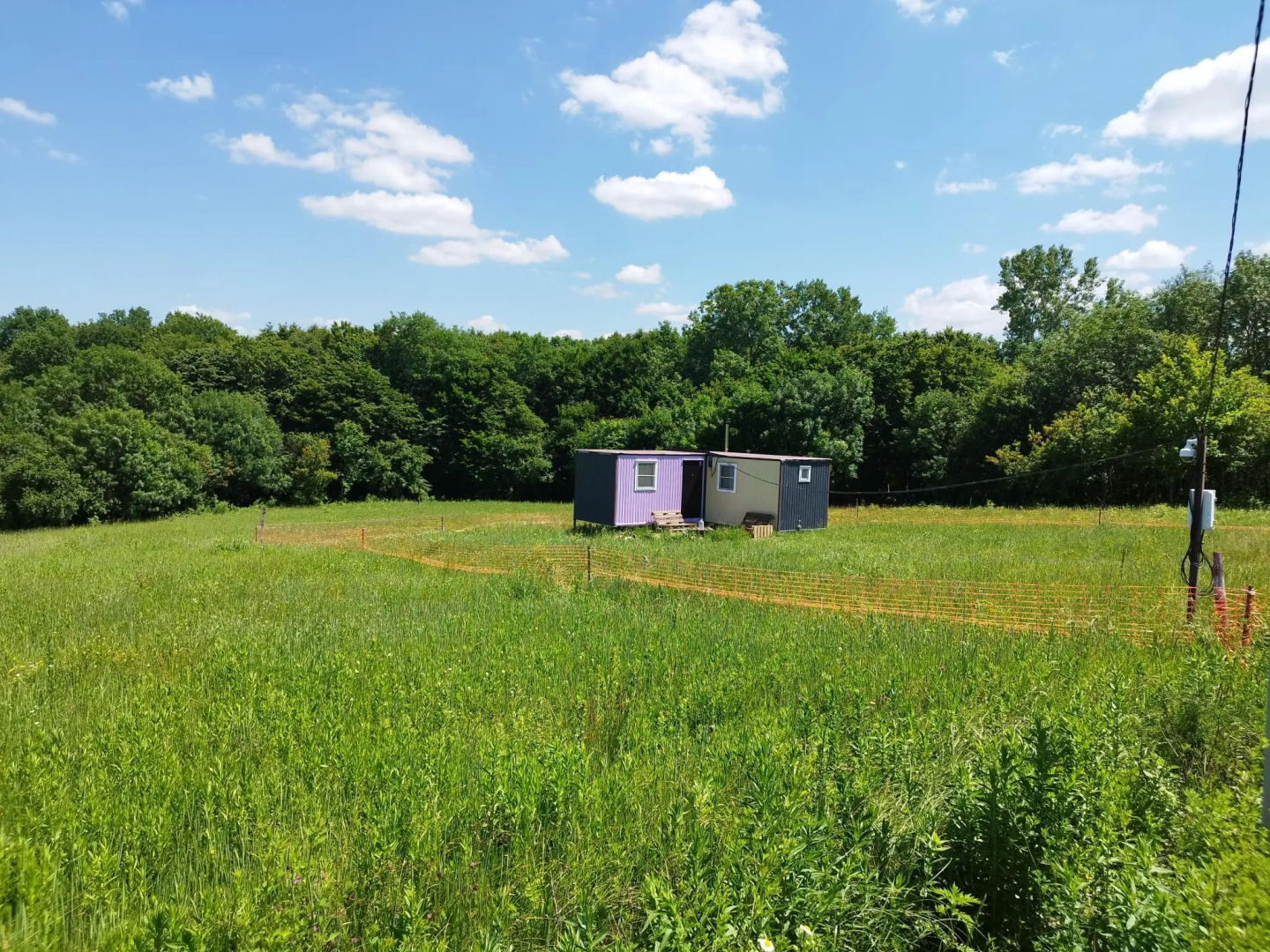 Парк Южного Периода