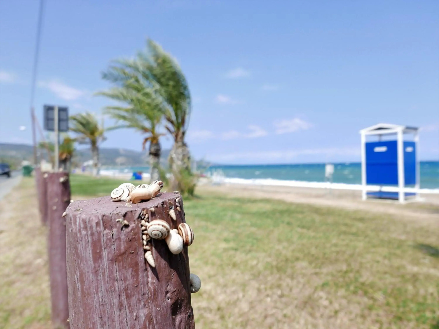 Philip's holiday house