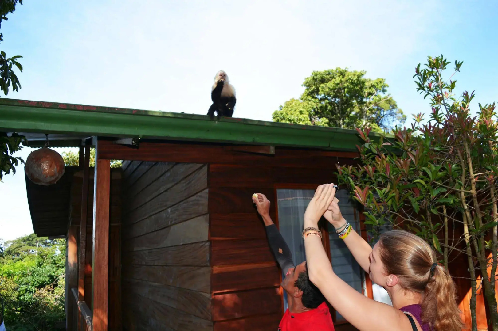 Santa Elena Hostel Resort