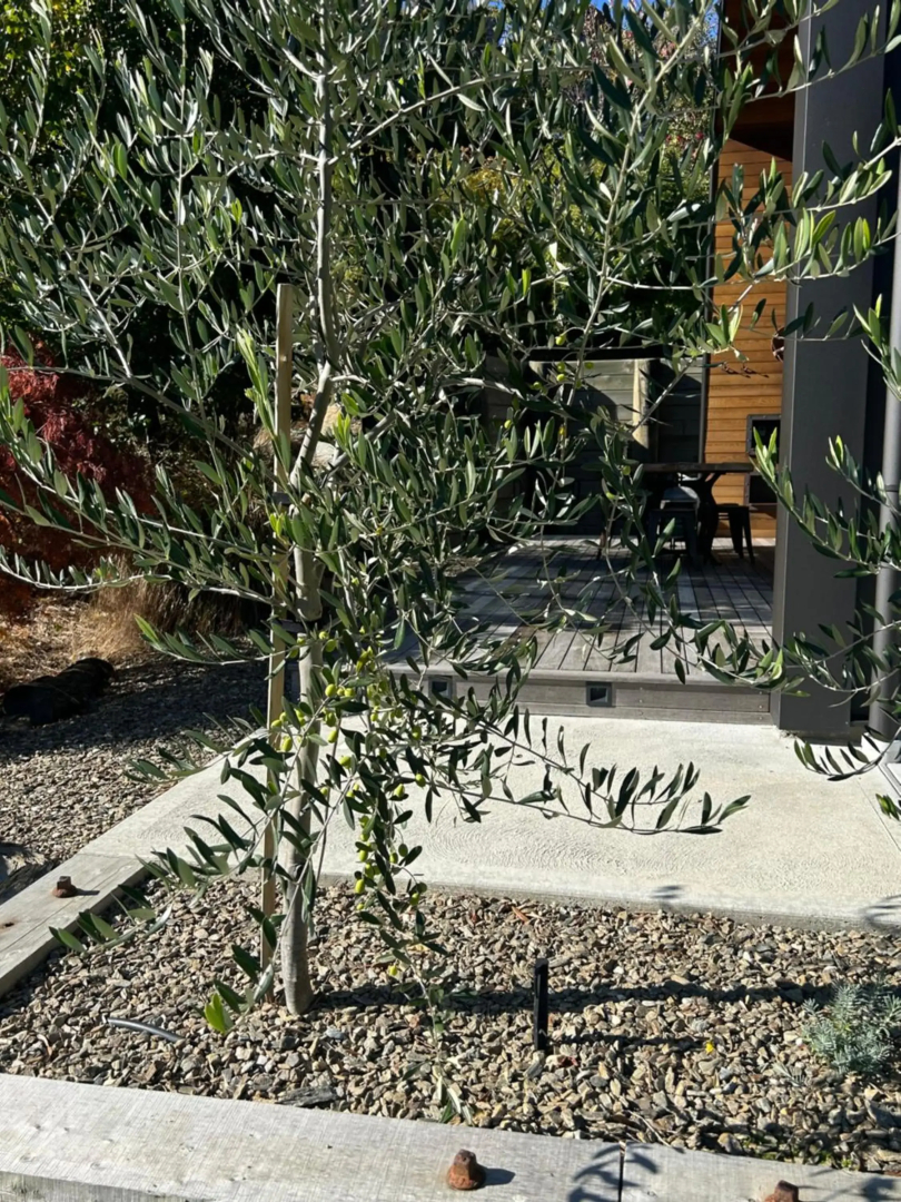 The Prospector on Miners