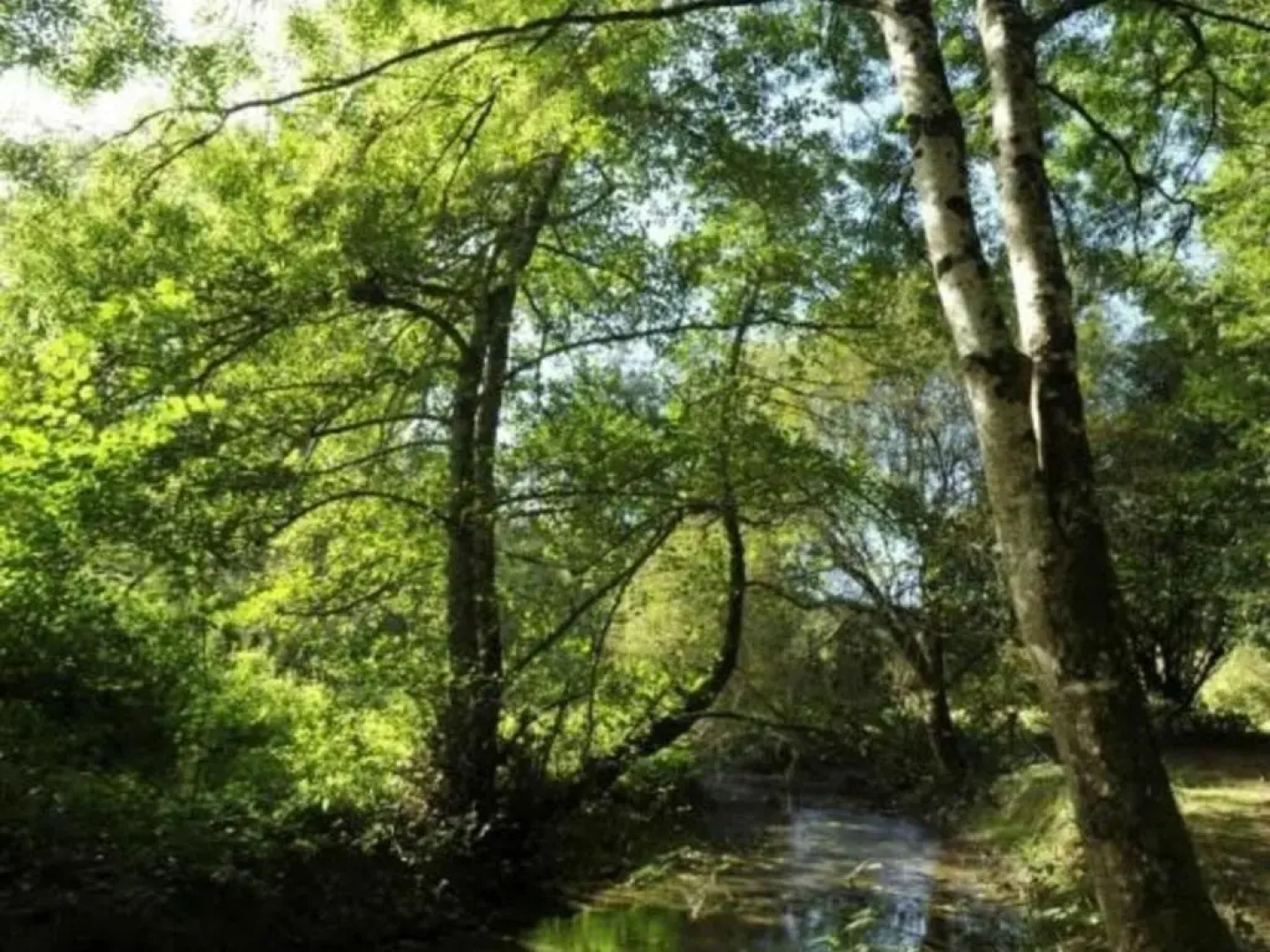 Gîte Saint-Calais-du-Désert, 4 pièces, 6 personnes - FR-1-600-161