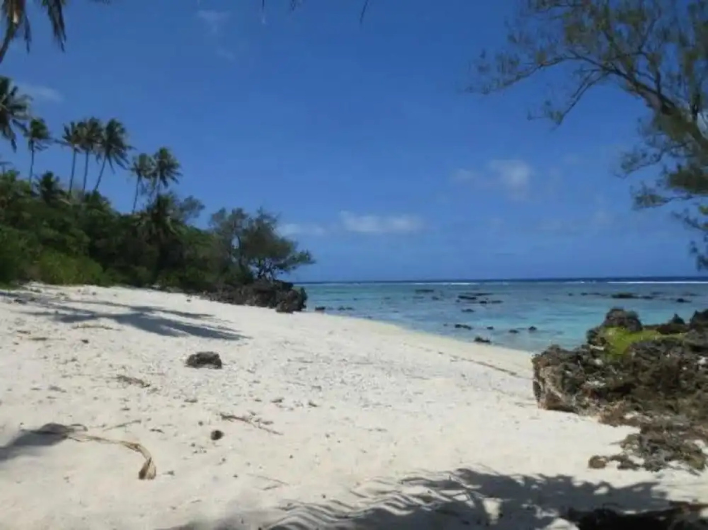 Pension La Perruche Rouge