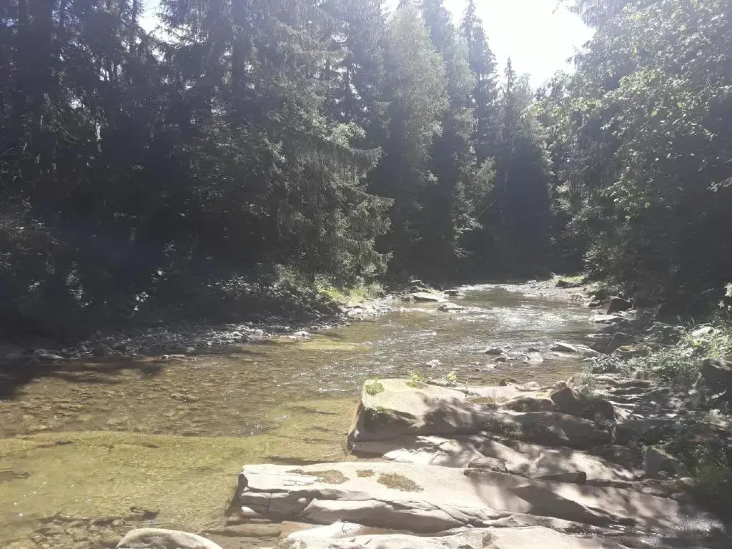 U Anastasii i Sofii bilya richki