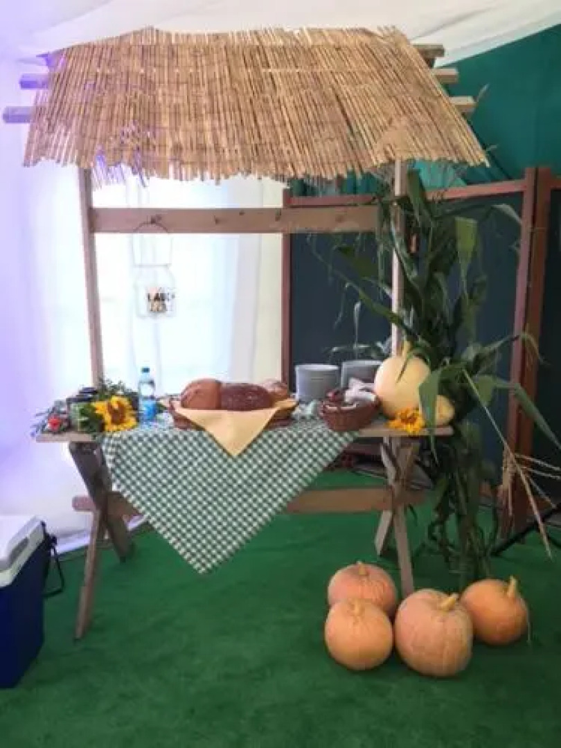 Hotel Palac Witaszyce