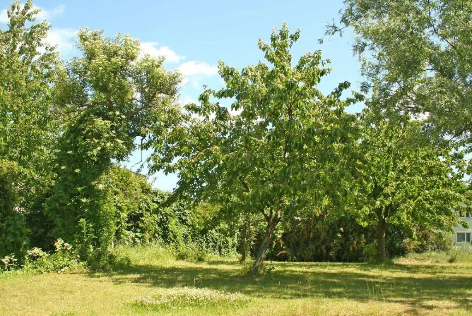 Ferienwohnungen Mirow SEE 10360