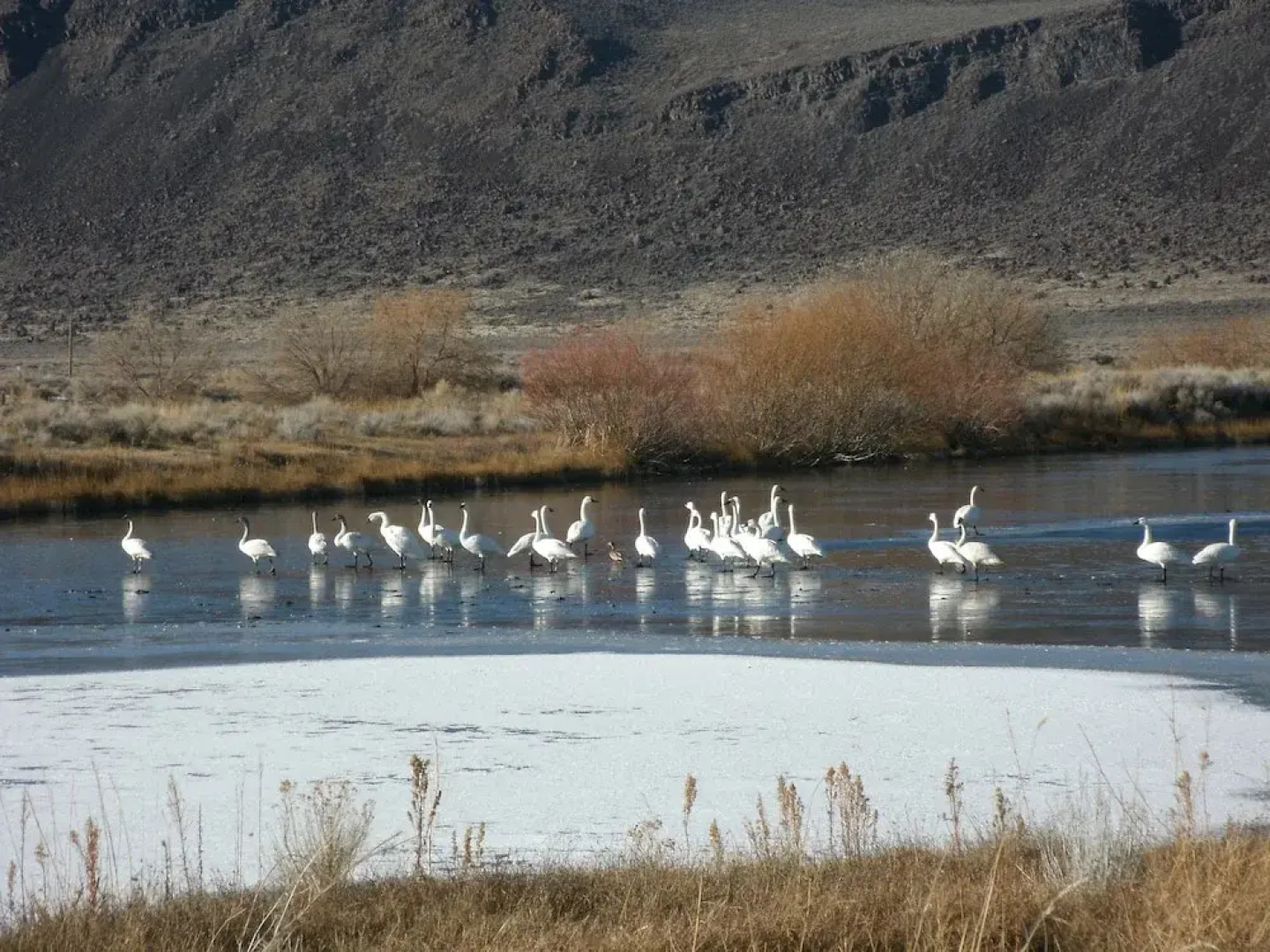 The Lodge at Summer Lake