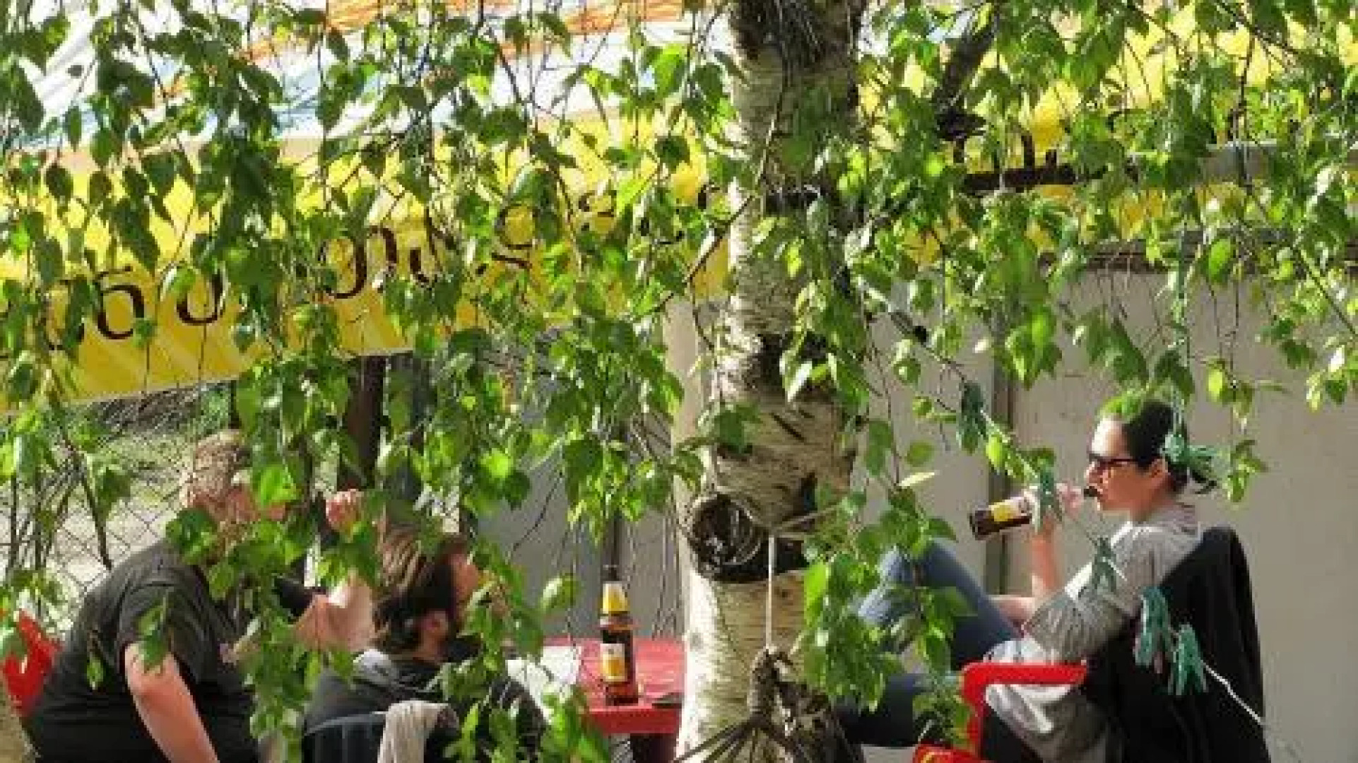 Guesthouse Ushguli Maspindzeli