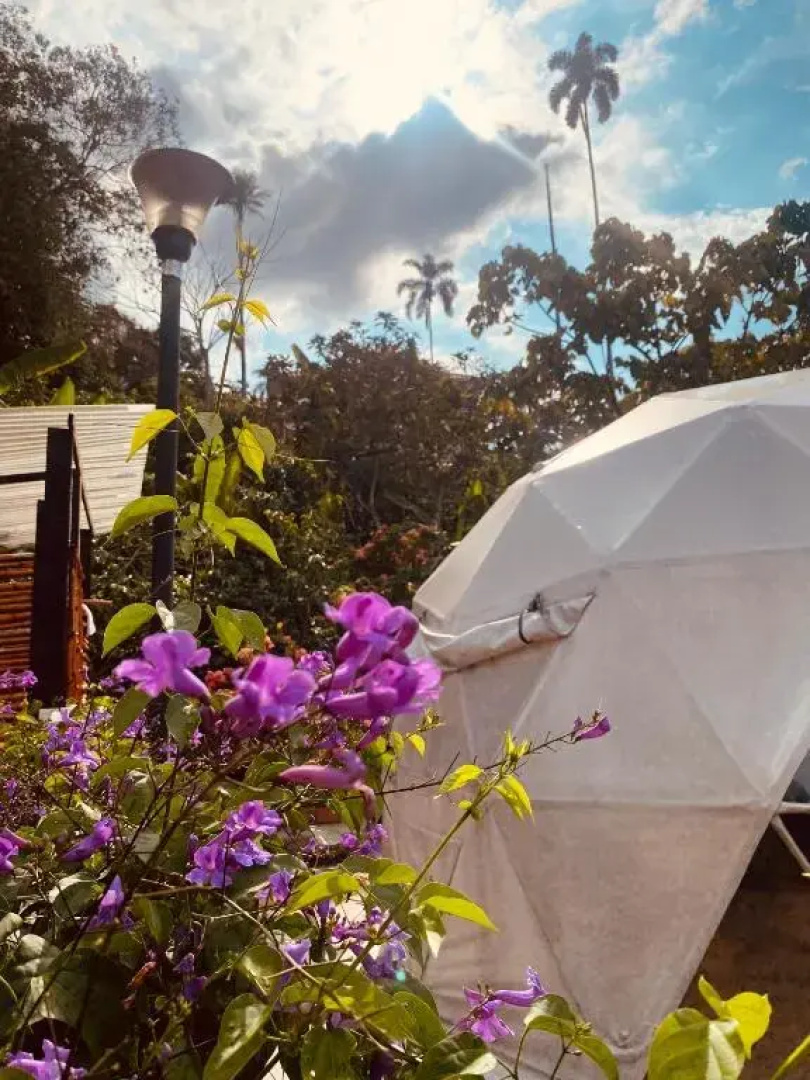 Glamping El Paraíso