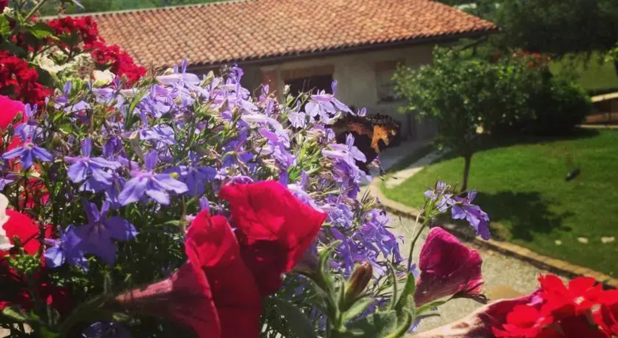 Agriturismo Fruttirossi