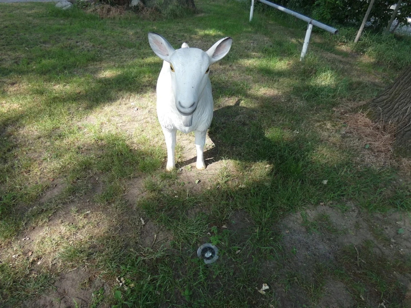 Ferienhof & Café Schnieder