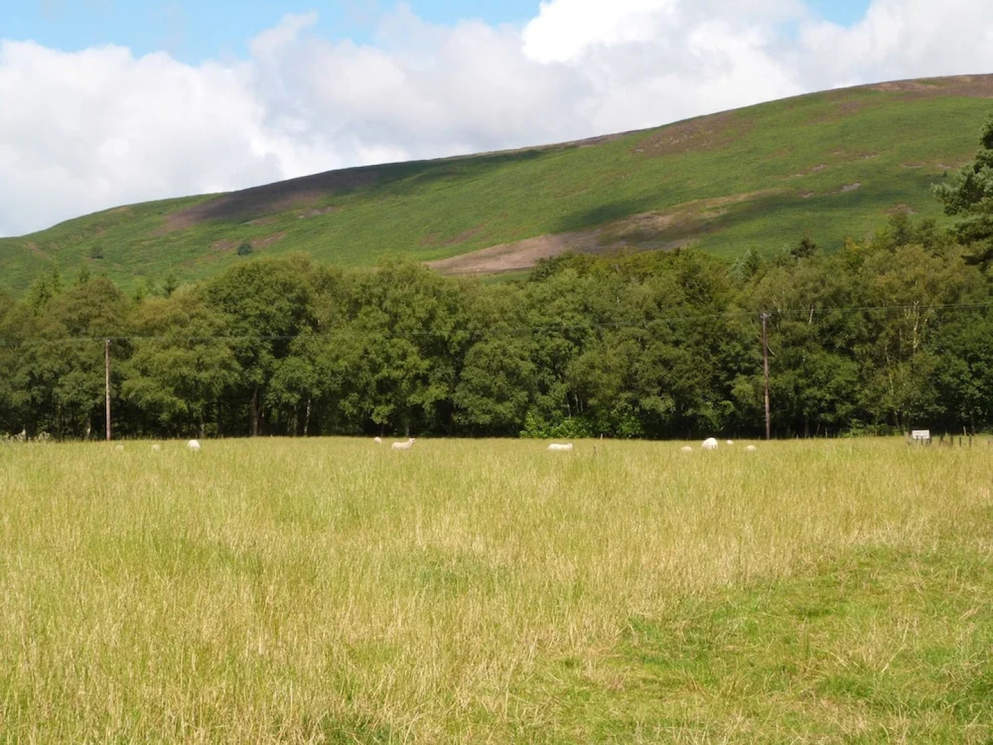The Furrows