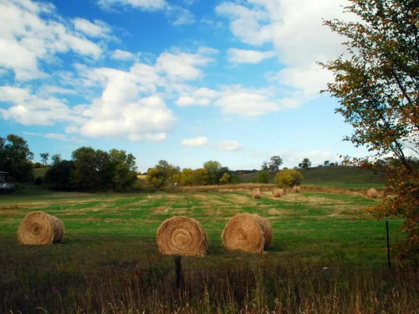 Gîte Benquet, 4 pièces, 6 personnes - FR-1-360-60