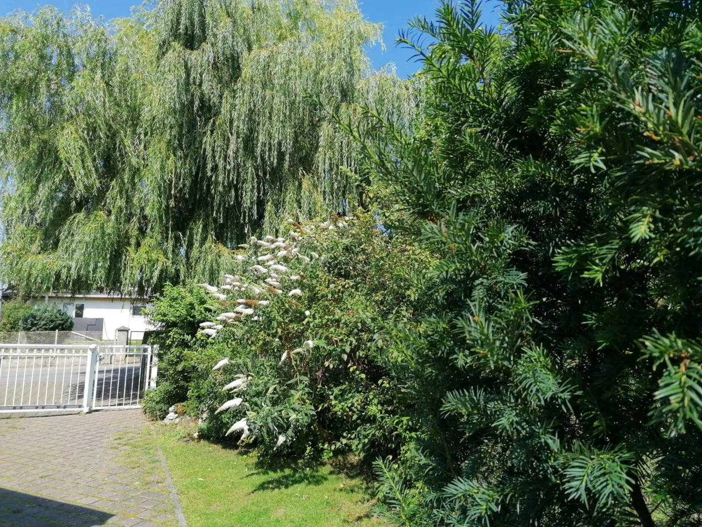 Pension Haus Anneliese