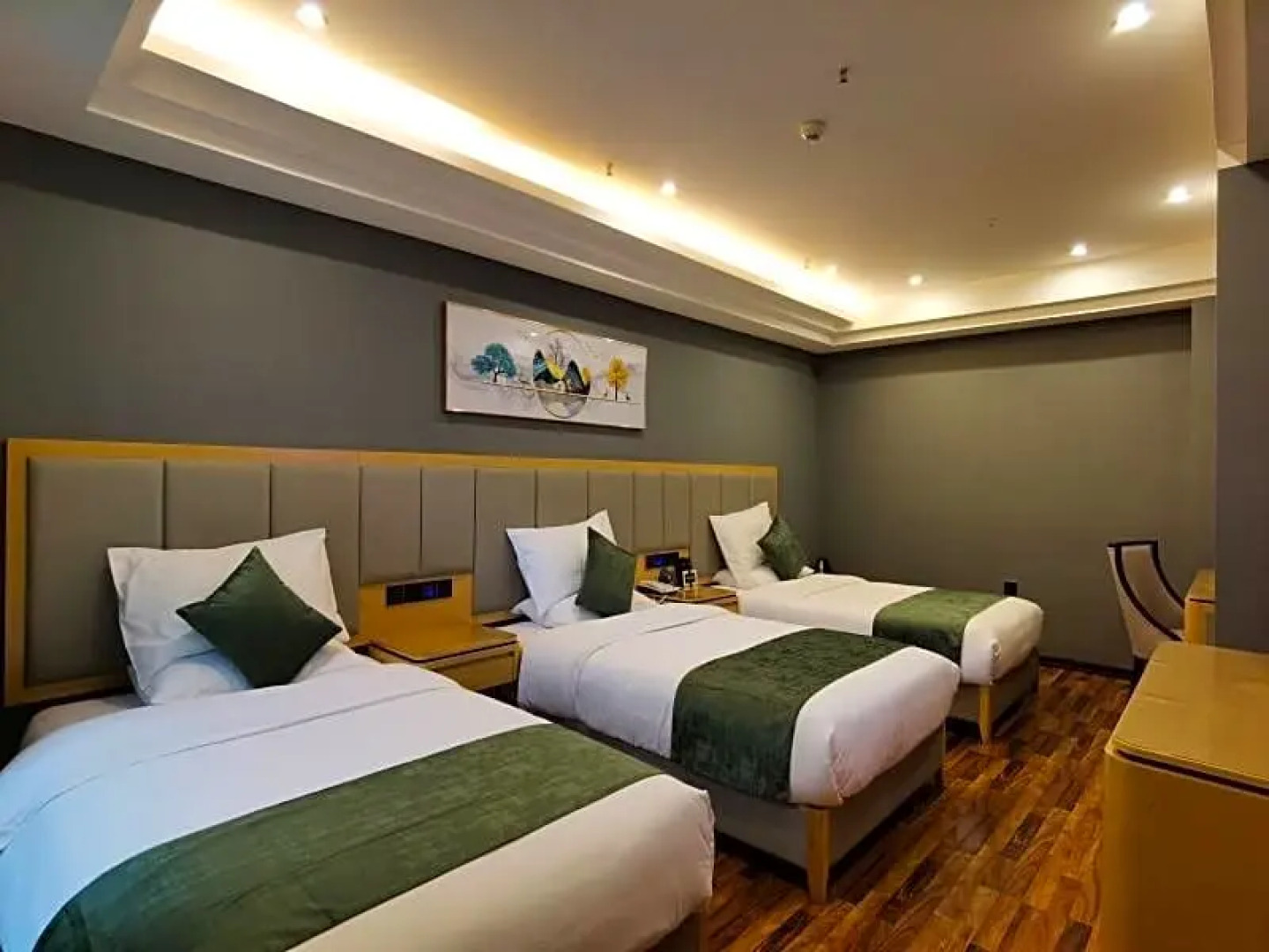 GreenTree Inn Hami Railway Station Bayi Road