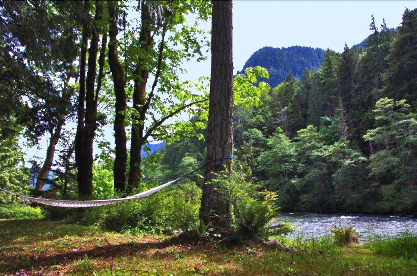 Rustic River Paradise - One Bedroom Cabin with Hot Tub