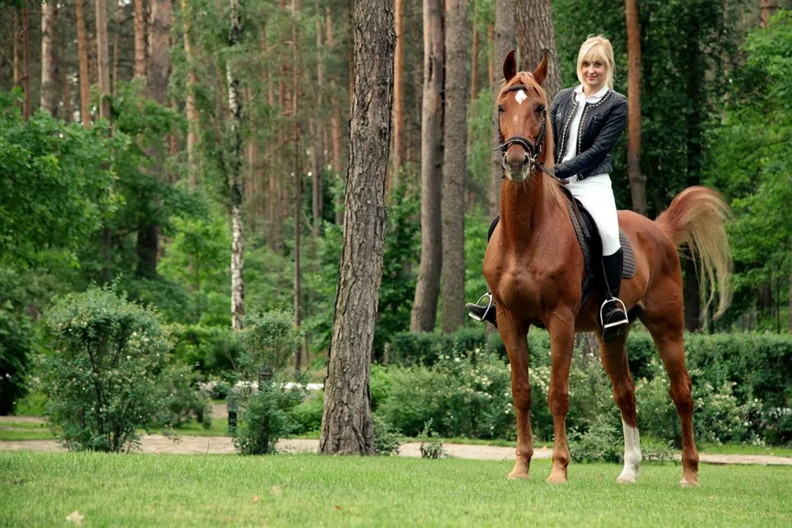 Grand Admiral Resort & SPA