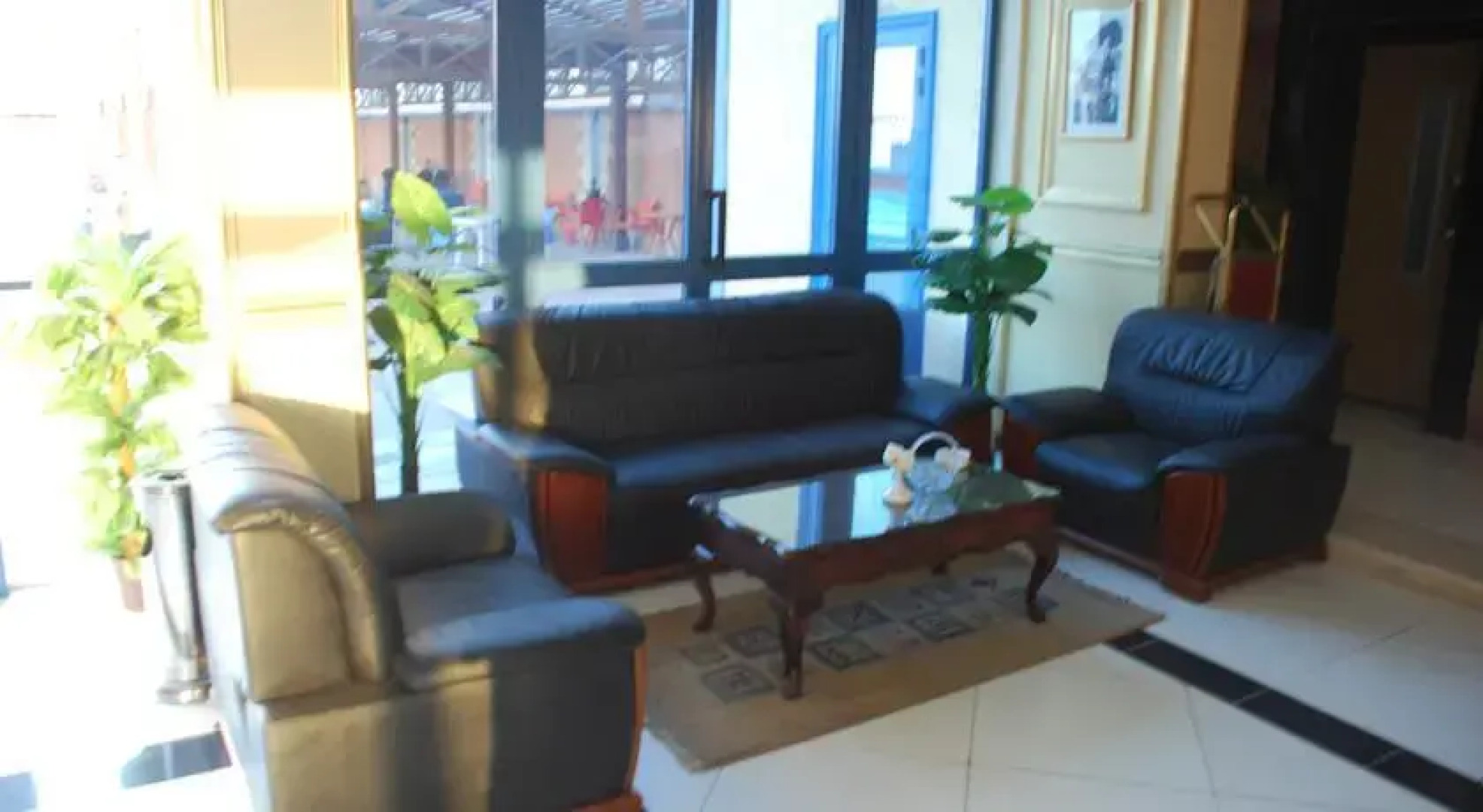 Siesta Resort Alexandria