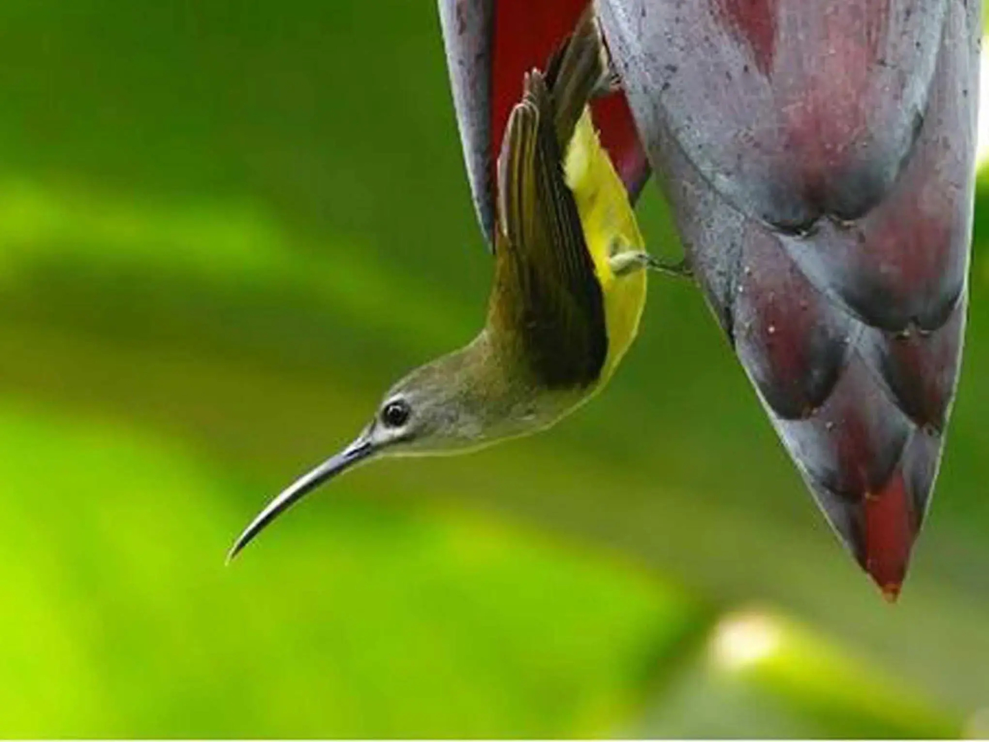 Wild Woods Spa & Resort