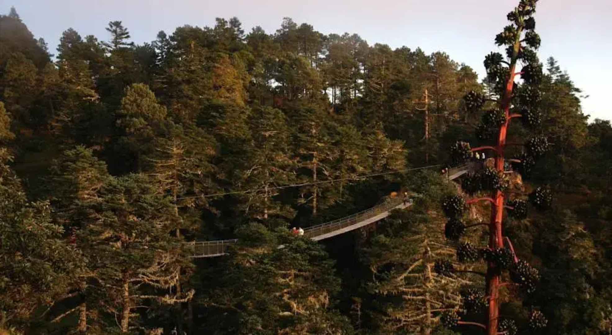 Centro Ecoturístico Cabañas Benito Juárez