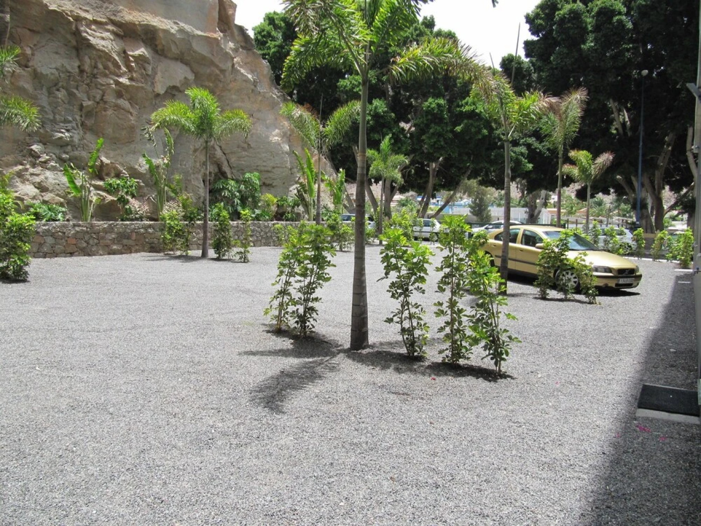 Apartamentos Las Palmeras