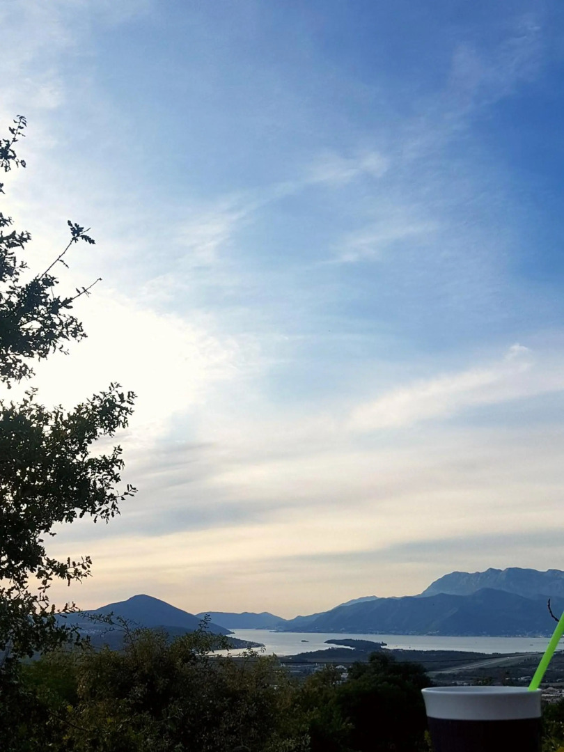 Apartment Jelena Sutvara