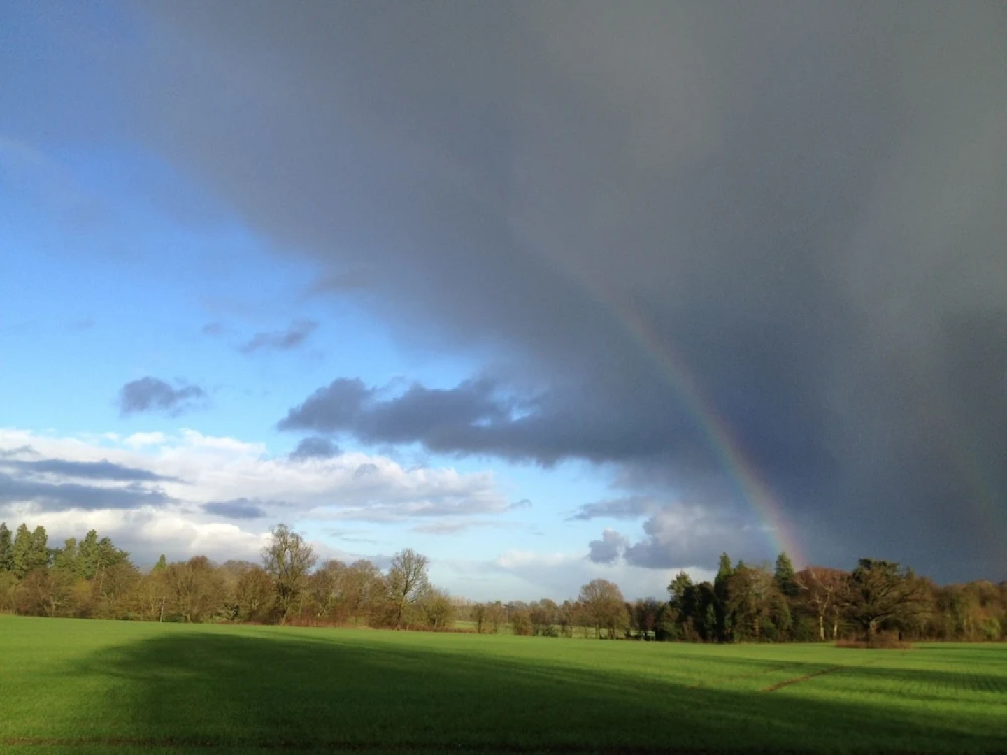 Haseley Coach House Motel