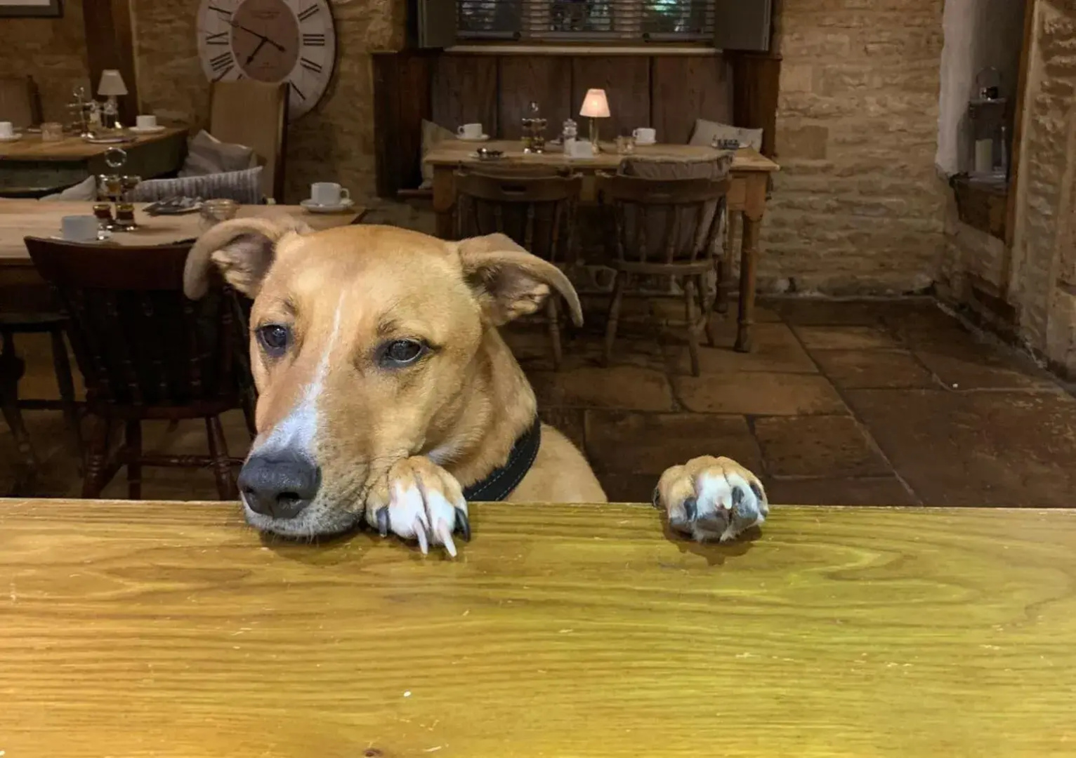 Horse & Groom - Upper Oddington