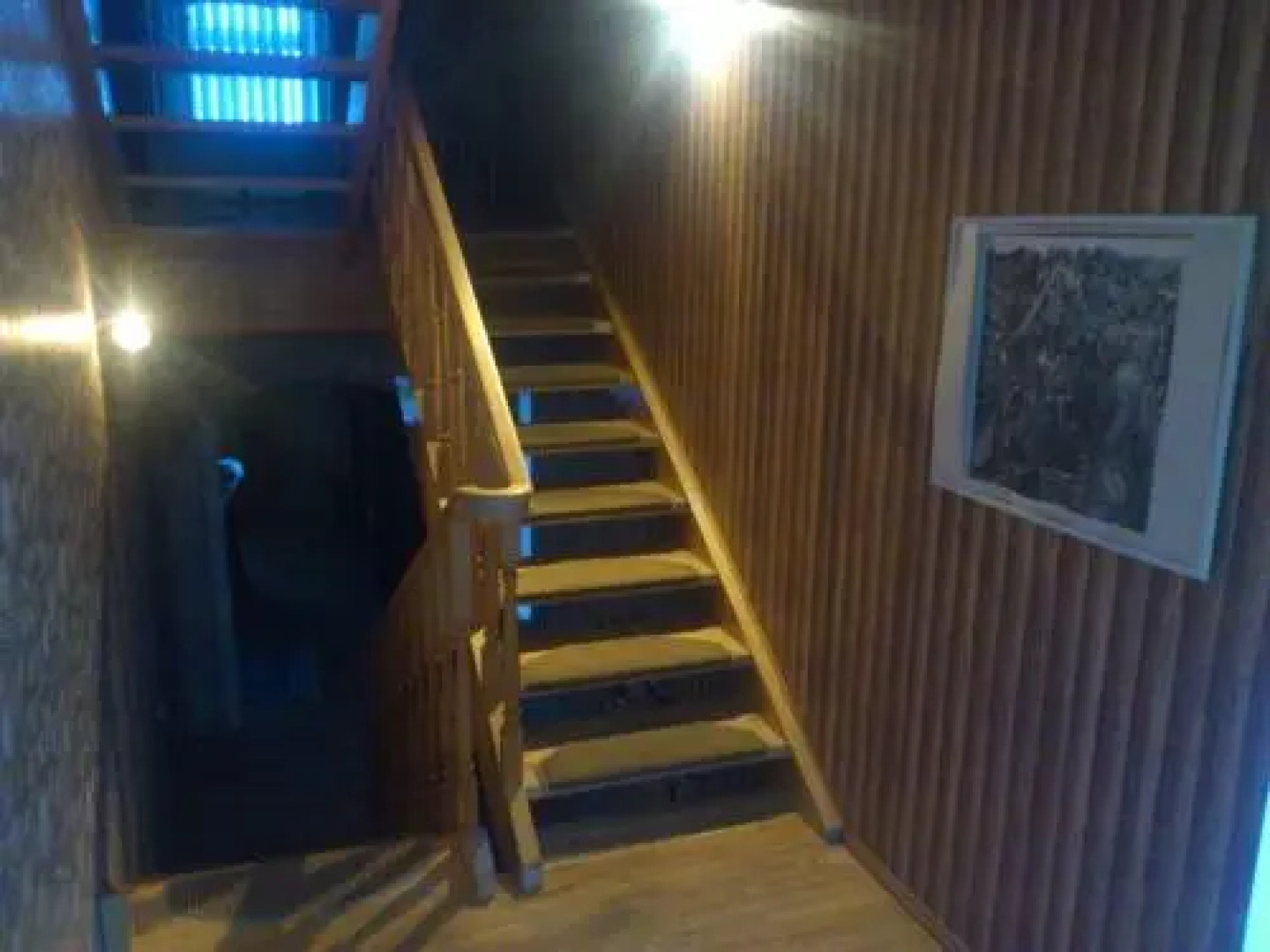 Villa Ringi Apartment