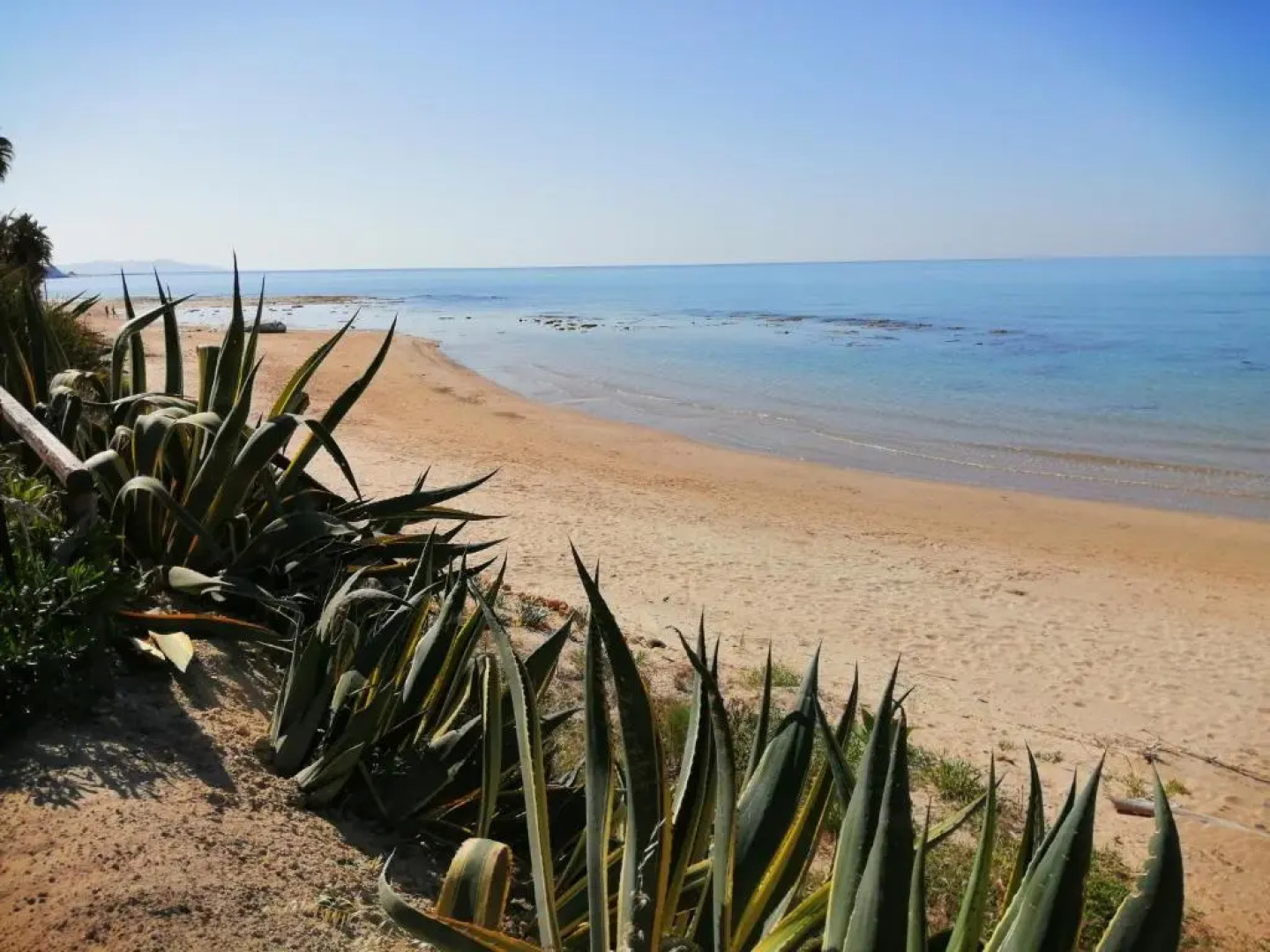 Villa Venere Apartment